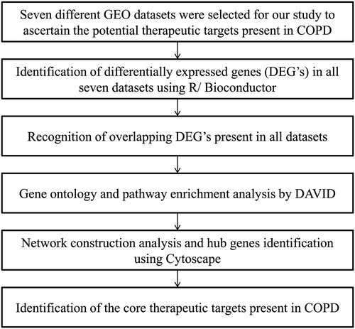 Figure 1. Flow diagram of the study design. COPD: Chronic Obstructive Pulmonary Disease; GEO: Gene Expression Omnibus.