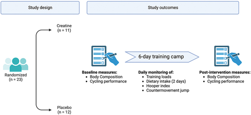 Figure 1. Schematic summary of the study design. Creatine (20 g/day) was administered for a total of 7 days, also including the day preceding the training camp.