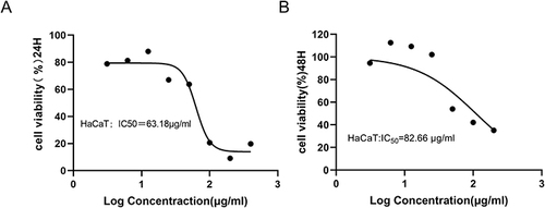 Figure 2 Treatment with MCEO had no significant effect on the growth and viability of HaCaT keratinocytes. Relative numbers of viable HaCaT treated with or without MCEO (30–80 mg/mL) for 24 h (A) and 48 h (B) as determined by the CCK8 assay. Mean percentage viability of HaCaT plotted against the indicated doses of MCEO. Experiments were performed thrice with each concentration in triplicate wells, and the IC50 values calculated from these plots are shown.