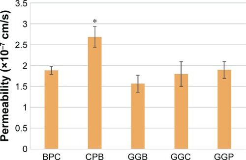 Figure 8 Permeability of the SPIONs across the BBB model.Notes: Data are shown as the mean ± SD; N=3, *P<0.05 compared with GGB.Abbreviations: BBB, blood–brain barrier; BPC, bovine serum albumin, polyethylene glycol, and collagen; CPB, collagen, polyvinyl alcohol, and bovine serum albumin; GGB, glycine, glutamic acid, and bovine serum albumin; GGC, glycine, glutamic acid, and collagen; GGP, glycine, glutamic acid, and polyvinyl alcohol; SD, standard deviation; SPION, superparamagnetic iron oxide nanoparticle.