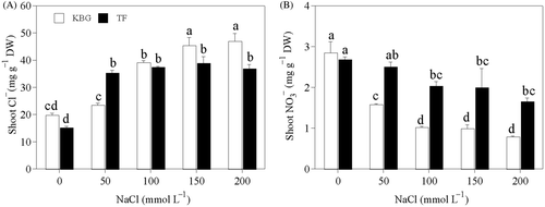Figure 2. Anion concentrations in the shoots of Kentucky bluegrass (KBG; Poa pratensis L.) and Tall fescue (TF; Festuca arundinacea Schreb.) at different sodium chloride (NaCl) concentrations. (A) chlorine (Cl−) and (B) nitrate (). Bars indicate standard error (n = 3). Different lower case letters indicate significant differences between means at P = 0.05 according to Duncan's multiple range tests. DW, dry weight.