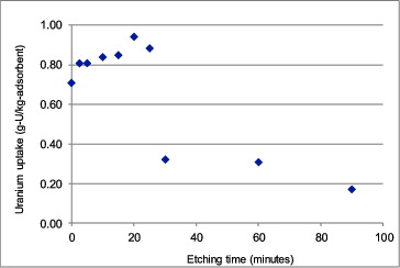 Figure 8. Uranium uptake of chromic acid pre-treated amidoxime fibers submerged in seawater for 30 days.