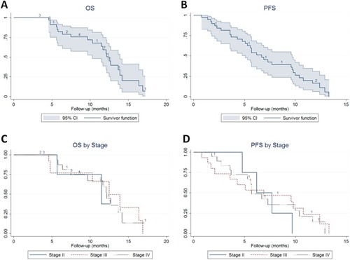Figure 2 Survival outcome of patients treated with HIFU and Gemox.Notes: (A) OS of the overall cohort; (B) PFS of the overall cohort; (C) Subgroup analysis of OS by UICC Stage; No significant difference was detected between cases in different stages (Log-rank p = 0.95); (D) Subgroup analysis of PFS by UICC Stage; No significant difference was detected between cases in various stages (Log-rank p = 0.95).Abbreviations: OS, overall survival; PFS, progression-free survival; HIFU, high-intensity focused ultrasound; CI, confidence interval; UICC, Union for International Cancer Control.