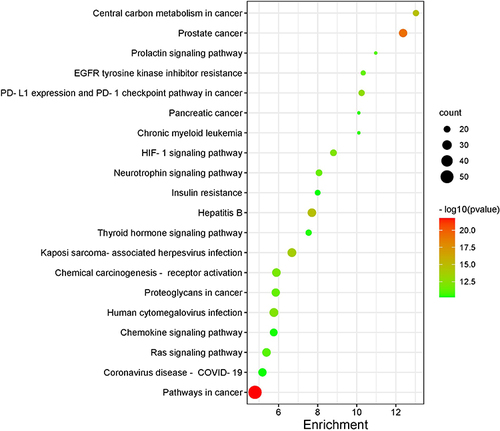 Figure 8 The top 20 signaling pathways from KEGG enrichment analysis of target genes of SCYYD against OM.