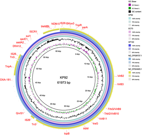 Figure 2 Comparison of NZ_CP024825.1, NZ_CP026727.1, KP100, KP92 and EC73 genomes from the outside in.