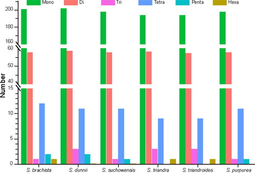 Figure 2. Comparative analysis of simple sequence repeats (SSRs) in six chloroplast genomes.