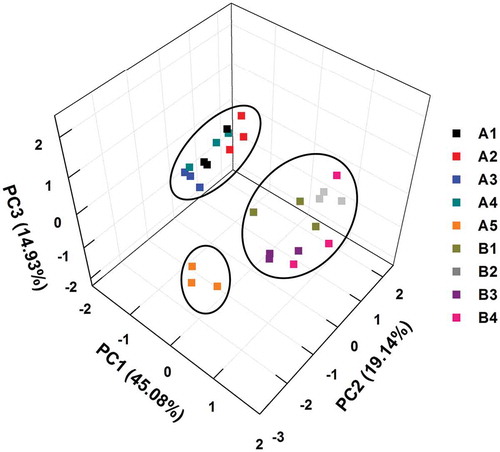 Figure 3. Principal component analysis (PCA) score plot of apple juices based on nine industrial production technologies. The percentages of entire variance covered by the PCs are indicated on the axes.Figura 3. Diagrama de resultados del análisis de los componentes principales (PCA) del jugo de manzana obtenidos empleando nueve tecnologías de producción industrial diferentes. Los porcentajes de varianza total explicados por los PC figuran en los ejes.