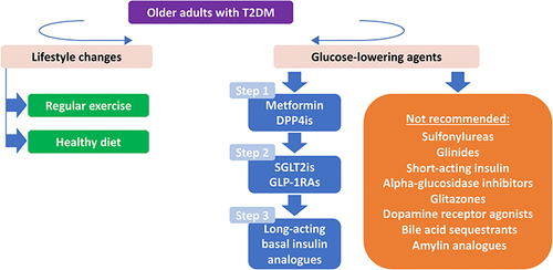 Figure 3 Management algorithm of type 2 diabetes mellitus (T2DM) in older adults.