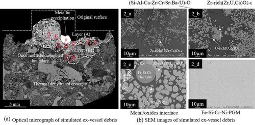 Figure 5. Cross-sectional images of the solidified simulated ex-vessel debris after experiment no. 2. (a) Optical micrograph of simulated ex-vessel debris. (b) SEM images of simulated ex-vessel debris: (2_a) close-up view of layer (A), (2_b) close-up view of layer (B), (2_c) interface between the oxide region and metallic precipitation, and (2_d) metallic precipitation