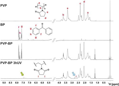 Figure 3. 1H NMR spectra of PVP, BP and PVP-BP, before and after 3 h of UV exposure (800 MHz, 60% H2O/40% D2O, 25°C). Green arrow (̴7.5 ppm) indicates up-shifted and broadened signal of BP after 3 h irradiation. Blue arrow denotes additional broad signal around 2.6 ppm assigned to the methylene protons of the succinimide ring.