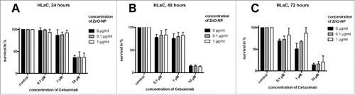 Figure 4. MTT-assay for HLaC cell line. Time points were 24 hours (A), 48 hours (B) and 72 hours (C). At 72 hours, ZnO-NPs increased tumor cell survival at 1 µM Cetuximab, whereas no significant influence was found at 0.1 µM and 10 µM Cetuximab or after 24 and 48 hours of incubation.