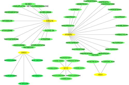 Figure 5 Drug–hub gene interaction network. Yellow and green ellipses represent hub genes and drugs, respectively.