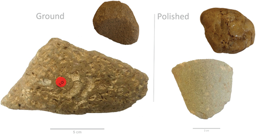 Figure 9. Comparison of porphyritic andesite ground (left) and polished (right) surfaces, showing the contrast between the decidedly matt finish on the former and the glossy finish to the latter. Accompanying the roughout fragment (93E144:7091, Test Pit 7) with the ground surface is a small sandstone pebble (E93144:9469, C1103) with at least two surfaces used in grinding, one of which is concave. Accompanying the polished flake (93E144:8688, C1101) is a small quartz polishing stone (92E144:9859, C1107) with clear glossing on one side.