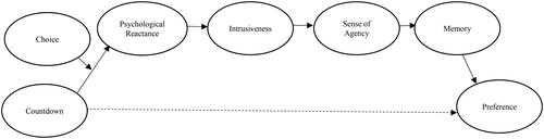 Figure 7. Conceptual model Study 3.