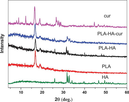 Figure 2. XRD of pure curcumin, pure HA, pure PLA, PLA-HA scaffold and PLA-HA-curcumin biocomposite scaffold.