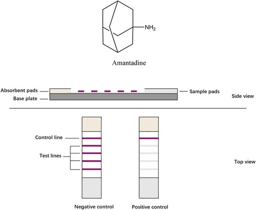 Figure 1. Chemical structural of amantadine.