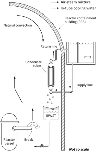 Figure 1. A system configuration of the PCCS to be deployed inside the containment of iPOWER [Citation3].