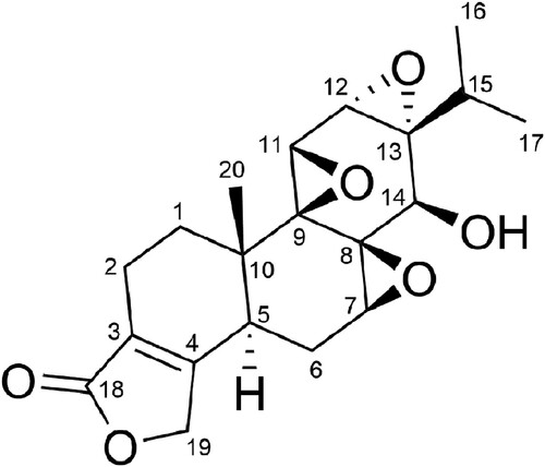 Figure 1. Chemical structure of triptolide.