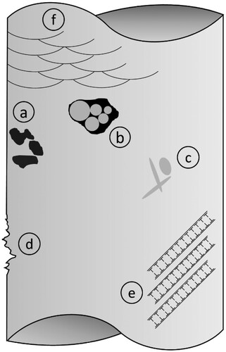 Figure 21. Microstructural features of relevance for fatigue crack initiation at elevated temperature for AM Al alloys: (a) near-surface porosity, (b) lack of fusion defects, (c) inclusions/hard particles, (d) surface roughness, (e) persistent slip bands, and (f) melt pool boundaries.Note: Features are not drawn to scale.