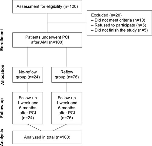 Figure 1 Flowchart of the study design.