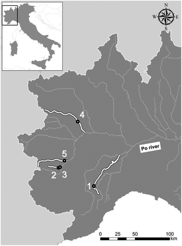 Figure 1. Location of the surveyed reaches considered in the study. Surveyed stream reaches: 1 = Belbo River; 2–3 = Ghiandone River; 4 = Orco River; 5 = Pellice River.
