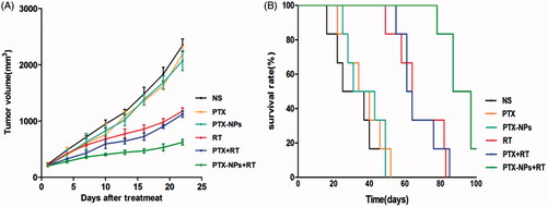Figure 3. PTX-NPs + RT inhibited tumor growth in subcutaneous HeLa model. (A) Suppression of subcutaneous tumor growth in each group. (B) Mice survival curve in each group.