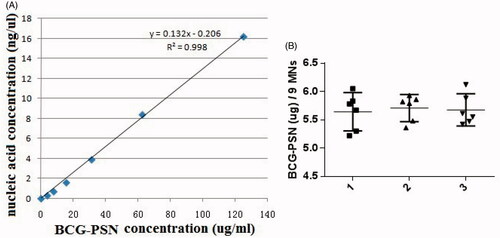 Figure 2. Determination of drug loading capacity. (A) Standard curve of absorbances at 260 nm vs. varying amounts of BCG-PSN powder dilutions. (B) The amount of BCG-PSN powder within an MNP was evaluated based on the standard curve shown in A. Each symbol represents the amount of BCG-PSN in nine microneedles cut from each patch, and the horizontal lines indicate the means of 6 patches with a 95% CI (confidence interval). The results of three independent experiments, designated 1, 2, and 3, are shown. In total, six MNPs and nine microneedles were used in each experiment.