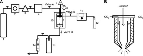 Figure 1 Schematic diagram of the apparatus used for solution-enhanced dispersion by supercritical fluids.Notes: (A) 1, CO2 cylinder; 2, refrigerator; 3, high-pressure pump; 4, stabilization tank; 5, pressure sensor; 6, temperature sensor; 7, nozzle; 8, filter; 9, view vessel; 10, air bath; 11, high-pressure constant flow pump; 12, graduated flask; 13, separator; 14, wet gas meter. (B) The structure of the nozzle.Abbreviations: P, pressure; T, temperature.