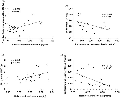Figure 7. Physiological parameters of stress are correlated with each other. (A) Basal corticosterone levels at sacrifice and (B) corticosterone recovery levels, 90 min after onset of the stressor (forced swim task; FST) were respectively positively correlated with body weight gain after 15 days of chronic social defeat stress (CSDS) and negatively correlated with actual body weight following 15 days of CSDS. Relative adrenal weight was (C) positively correlated with body weight after 15 days of CSDS and (D) negatively correlated with corticosterone recovery levels, 90 min following onset of the FST. CSDS: chronic social defeat stress. Data represent mean ± SEM. r = Pearson’s correlation, p = significance level.