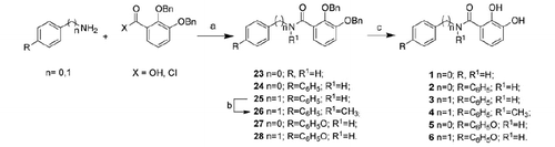 Scheme 1. Reagents and conditions: (a) anhydrous THF, r.t. or DMAP, DCC, CH2Cl2, r.t.; (b) dry DMF, NaH, CH3I, 0 °C; (c) H2, 10% Pd-C, CH3OH/THF 2:5, r.t.