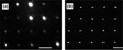 Figure 2. The diffraction limit for optical and electron microscopy. (a) Diffraction-limited nonlinear optical (NLO) second harmonic generation (SHG) image of an array of nanoparticle assemblies. (b) Scanning electron microscope image of an array of nanoparticle assemblies. The scale bars in both (a) and (b) represent 2 μm. Panels (a) and (b) illustrate the resolution problem caused by the diffraction limit. In (a), the individual components of the assemblies are unresolvable and appear as a single spot with a width of ~500 nm. In contrast, in the SEM image (b), the individual components are clearly resolvable. Localization imaging techniques allows for the determination of the position of a signal point source with much higher precision than the optical diffraction limit