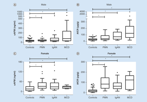 Figure 3.  Distribution of urine afamin and afamin–creatinine ratio in healthy volunteers and patients.Box and whisker plots showed distribution of uAFM (A & C) and AfCR (B & D) in healthy volunteers (controls, n = 121 for males and 126 for females) compared with patients with PMN (n = 31 for males and 28 for females), IgAN (n = 22 for males and 24 for females) and MCD (n = 14 for males and 10 for females). Mann–Whitney U test was used to compare differences.*p < 0.05.ACR: Albumin-creatinine ratio; AfCR: Afamin–creatinine ratio; IgAN: IgA nephropathy; MCD: Minimal change disease; PMN: Primary membranous nephropathy; uAFM: Urine afamin.