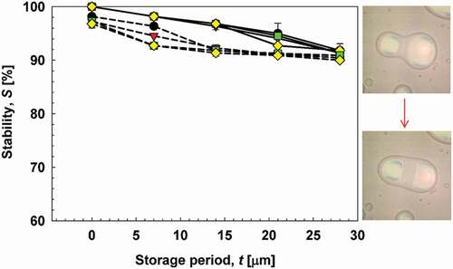 Figure 5. Stability of emulsions during 28 days of storage. Solid lines show CC emulsions, and dotted lines show CA emulsions. (Display full size) denote 5000 rpm, (Display full size) 10,000 rpm, (Display full size) 15,000 rpm, and (Display full size) denote 20,000 rpm.