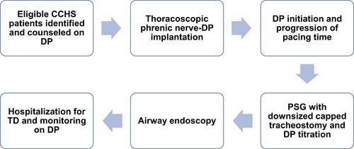 Figure 5 Algorithm for tracheostomy decannulation to diaphragm pacing in congenital central hypoventilation syndrome.Citation31