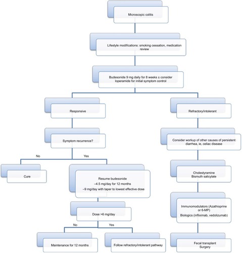 Figure 1 Therapeutic management algorithm for microscopic colitis.