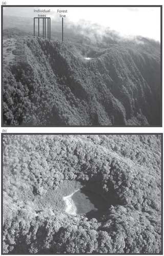 FIGURE 2. (a) Photograph of Wai'ānapanapa showing its position relative to the upper limit of cloud forest and (b) the dense cloud forest that surrounds the lake basin. Photo by Gregor Schuurman.