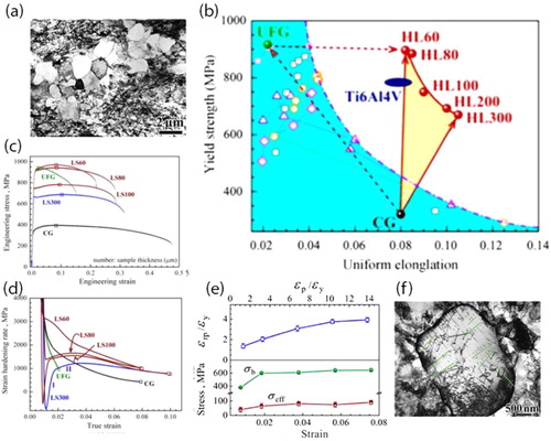 Figure 3. Unprecedented strengthening and extra strain-hardening in HL structured Ti [Citation3]: (a) HL structured Ti with recrystallized CG grains forming a soft lamellar that is surrounded by UFG matrix; (b) Outstanding tensile properties of HL structured Ti; (c) Engineering tensile stress-strain curves; (d) True strain hardening rates vs. true stress; (e) HDI hardening behaviors for HL structured Ti; (f) Dislocation pile-ups at hetero-interfaces in a CG grain.