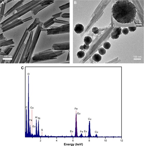 Figure 3 TEM image (A, B) and EDS spectrum (C) of Fe-HNT-Eu NC.Note: The inset image is the high resolution of the Fe-HNT-Eu NC.Abbreviations: EDS, energy-dispersive spectrometer; HNT, halloysite nanotube; NC, nanocomposite; TEM, transmission electron microscopy.