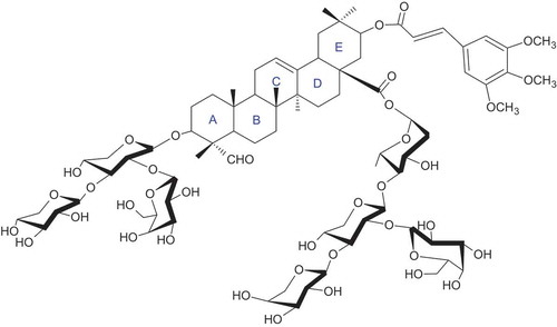 Figure 1. Structure of acylated GS1 (MW 1689 da) isolated from Gypsophila arrostii roots. compound was ascertained by 1H, 13C and 2D NMR and compared with literature data.[13]