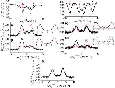 Figure 7. CP-ENDOR spectra of solid 1H-BDPA as a function of MW field strength ω1e and the CP-RF offset Δωn. Top: eNCP spectrum at ω1e /2π = 2.5 MHz showing the selected RF-CP offset used in the CP-ENDOR spectra (a) and (b). Bottom: eNCP spectrum at ω1e/2π = 5 MHz showing the selected RF-CP offset used in the CP-ENDOR spectra (c) and (d). Black and red curves are for pumping at positive and negative Δωn, respectively. (e) CP-ENDOR spectrum at ω1e/2π = 5 MHz with CP-RF off, for comparison. EPR pulse lengths were adjusted for the employed ω1e, i.e. π/2: 100 ns (ω1e /2π = 2.5 MHz) and π/2: 50 ns (ω1e/2π = 5 MHz); tCP = 50 μs; τd = 1 μs; τ = 500 ns; 1 shot/point; Tr = 5 ms; 16 scans; random acquisition; RT. CP-ENDOR spectra were simulated using the experimental delays and irradiation strength values for e–n–n spin system with hyperfine tensors having opposite signs: |A1| = [7.7 5.3 2] MHz and |A2| = [1 1 1.2] MHz. Relaxation parameters used in simulations are given in the main text.