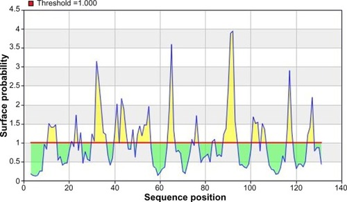 Figure 5 Emini surface accessibility prediction of the most antigenic protein, B2KKT9.