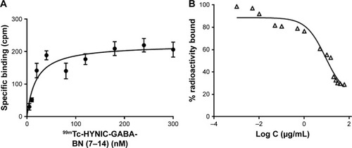 Figure 8 (A) Saturation binding study of 99mTc–HYNIC–GABA–BN (7–14) to GRP receptors of T-47D cells and (B) inhibition of 99mTc–HYNIC–GABA–BN (7–14) binding to T-47D cells with the various concentrations of DOTA–BN–TMC–MNPs. Results of a representative experiment are expressed as the percentage of radioactivity bound to the cells (mean±SD, n=3).Abbreviations: 99mTc, Technetium-99m; HYNIC, hydrazinonicotinamide; GABA, gamma-aminobutyric acid; BN, bombesin; GRP, gastrin-releasing peptide; DOTA, S-2-(4-isothiocyanatobenzyl)-1,4,7,10-tetraazacyclododecane tetraacetic acid; TMC, N,N,N-trimethyl chitosan; MNP, magnetic nanoparticle.