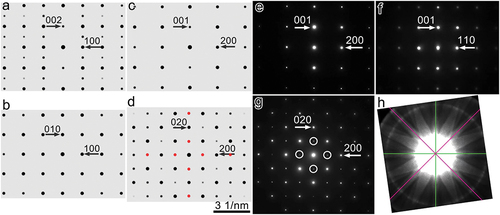 Figure 5. Simulated electron diffraction patterns of the P_42c (a, b) and P4/mbm (c, d) structure along the [010] (a,c) and [001] (b,d) zone axes. Red dots in (d) show the positions of extinction diffraction spots. For the two structures, the diffraction patterns along [100] are identical to those along [010] and not provided here for brevity. Experimental selected area electron diffraction patterns along [010] (e), [1_10] (f) and [001] (g). Convergent beam electron diffraction pattern along [001]. The green and pink lines denote the mirror planes.