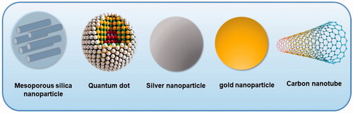 Figure 2. Different types of inorganic nanoparticles.