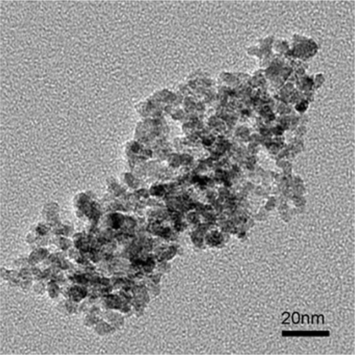 Figure 5. TEM image of water-soluble nanoparticles.