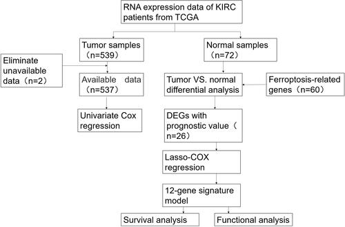 Figure 1 Specific data collection and analysis flow chart.