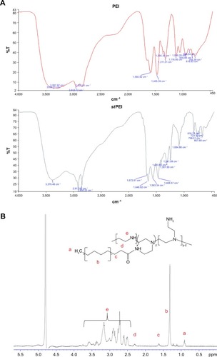 Figure 1 Identification of stPEI polymers.Note: (A) IR spectrum and (B) 1H-NMR spectrum.Abbreviations: IR, infrared; NMR, nuclear magnetic resonance; PEI, polyethylenimine; stPEI, stearyl PEI.