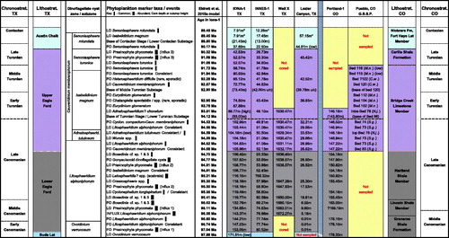 Figure 7. Tabulation of Cenomanian, Turonian and lowermost Coniacian dinoflagellate cyst and prasinophyte bioevents in SW Texas (TX) and Colorado (CO), with bioevents listed in order of occurrence in Iona-1. Age estimates are derived from the astronomical (obliquity) age model presented in Eldrett et al. (Citation2015a). Pueblo area lithostratigraphy is taken from Kauffman and Pratt (Citation1985). Pueblo ammonite zones are given next to the bed numbers in which phytoplankton bioevents occur (Figure 3); Sciponoceras gracile (S.g.), Neocardioceras juddii (N.j.), Mammites nodosoides (M.n.), Collignoniceras woollgari (C.w.). The position of the base of the Turonian Stage in Portland-1 core is taken from Sageman et al. (Citation2006), correlating with the GSSP outcrop base of Bed 86. * The stratigraphically highest productive sample analyzed in a section. u/c = a probable >2 million years hiatus below the base of the intra-Middle Turonian (Langtry Member, upper Eagle Ford Group) in Innes-1 and Lozier Canyon (Eldrett et al. Citation2015a, Citation2017). Early–Middle Cenomanian boundary (ca. 96.6 Ma) in CO and TX: in Portland-1, LO Ovoidinium verrucosum at 178.33 m and FO consistent/common Litosphaeridium siphoniphorum at 178.10 m occur in the basal Middle Cenomanian, within and immediately above the carbon isotope MCE (cf. Figure 6); in Iona-1 and Innes-1, FO common L. siphoniphorum occurs around the base of the MCE. Middle–Late Cenomanian boundary (ca. 95.7 Ma) in CO and TX: onset Bosedinia abundance during the Middle Cenomanian in Texas pre-dates that in Colorado (Late Cenomanian). ‘Low’ next to a bioevent indicates a stratigraphically low occurrence relative to the other sections: in Iona-1, an isolated occurrence of rare O. verrucosum at 171.51 m occurs within the Lower Cenomanian; an isolated occurrence of common Adnatosphaeridium tutulosum at 104.18 m is below the level of its LO in the other sections; at Pueblo, FO consistent and FO common Senoniasphaera turonica are within the upper part of the Lower Turonian while these events are stratigraphically higher, within the upper part of the Middle Turonian, in Iona-1 and Innes-1; at Lozier Canyon, an influx of common Senoniasphaera rotundata at 44.18 m, within the Langtry Member, is below the FO of common S. rotundata in the Austin Chalk in Iona-1 and Innes-1. ‘High’ next to the LO of Adnatosphaeridium? chonetum in Iona-1 indicates a stratigraphically higher, possibly reworked basal Turonian LO, relative to the other sections, where its LO is intra-Upper Cenomanian. See main text for further discussion.