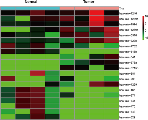 Figure 2 The top 20 differentially expressed miRNA between tumor and corresponding normal tissues in sequencing data.