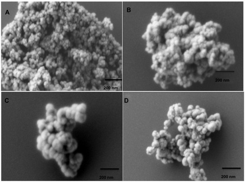 Figure 1 Scanning electron micrograph (SEM) images for different magnetic nanoaggregate formulations. Effect of polymeric composition on morphology of nanoaggregates: (A) 0.5 mmol block copolymer and 0 wt% beta-cyclodextrin; (B) 3 mmol block copolymer and 0 wt% beta-cyclodextrin; (C) 3 mmol block copolymer and 5 wt% beta-cyclodextrin; and (D) 3 mmol block copolymer and 25 wt% beta-cyclodextrin.